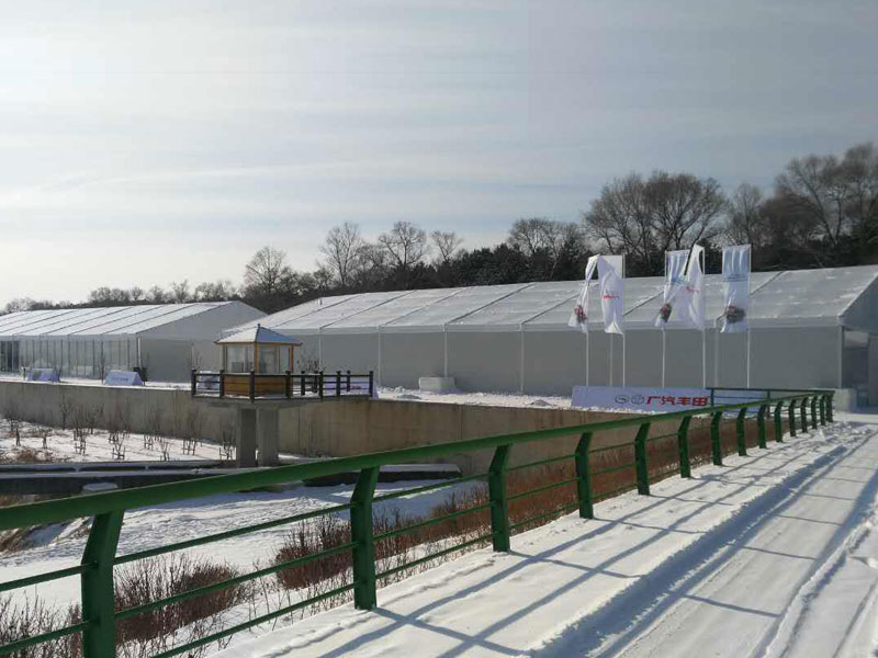 Temporary Workshop Tent