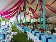 20X20 Party Tent