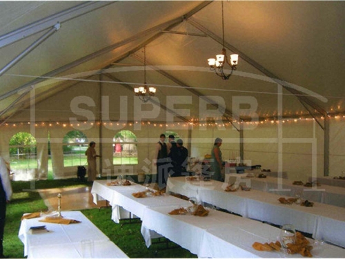 Buy Large 20 x 20 Party Tent