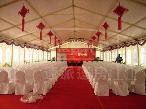 Commercial Party Canopy Tents 20x20