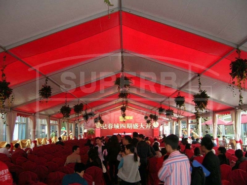 Commercial Party Canopy Tents 20x20