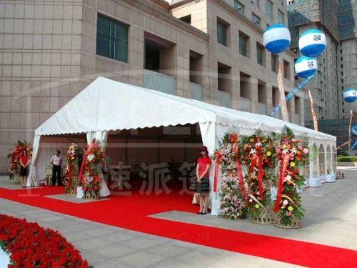 Commercial Party Canopy Tents 20x20